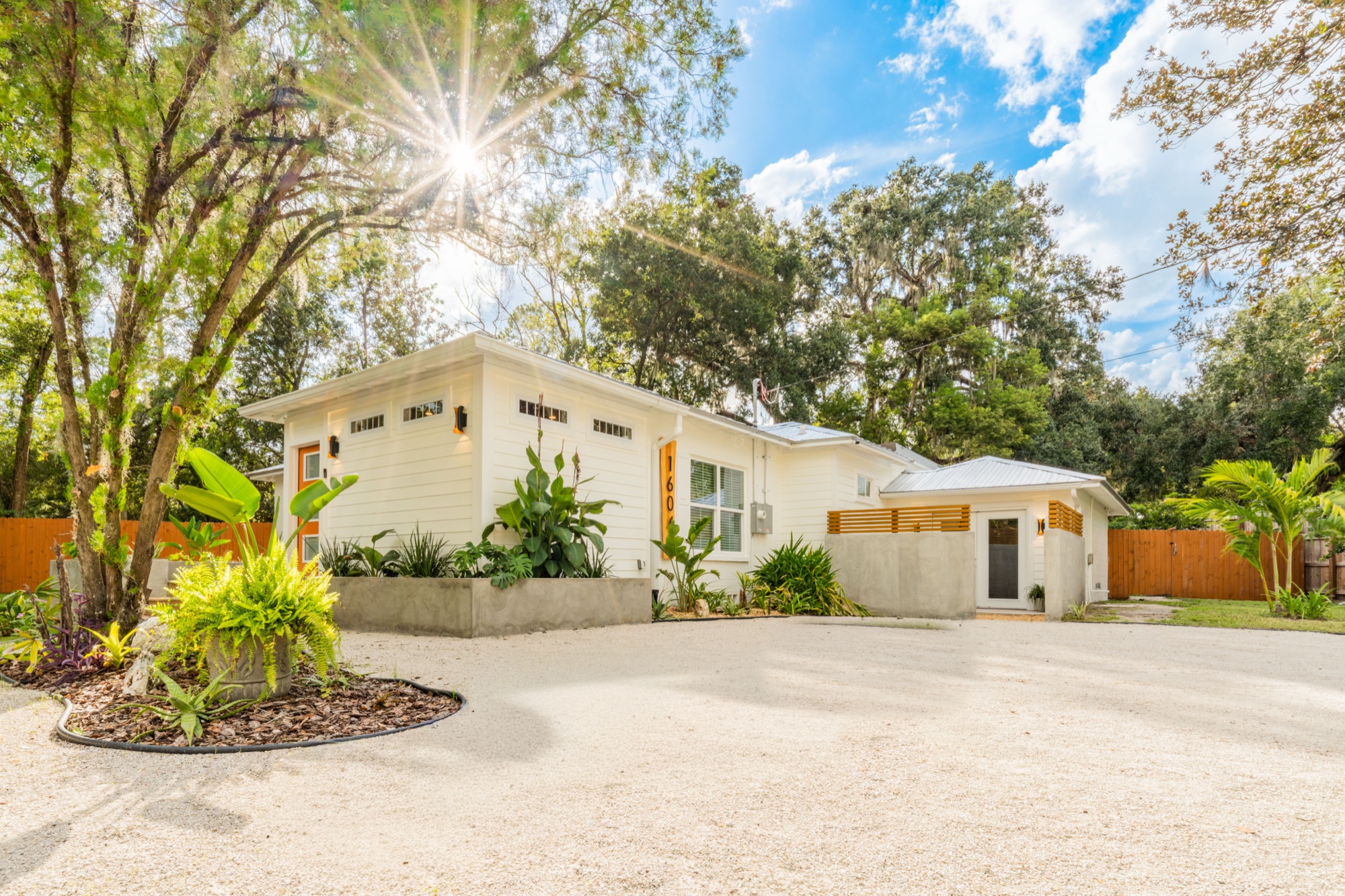The Jungle Cat cottage exterior with sunlit trees and driveway