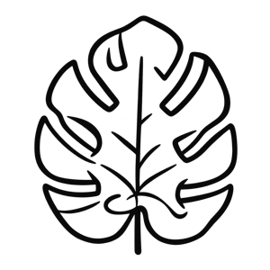 Monstera leaf